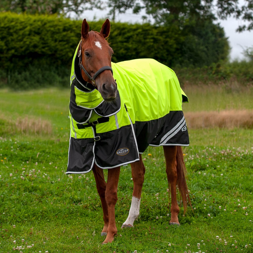 Gallop Hi Viz 200g Combo Turnout Rug Pups Pets & Ponies